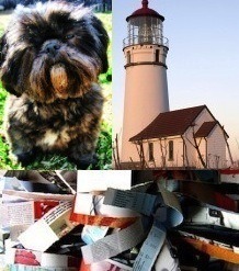 Övrigt - En hund, tidningsuppslag, en fyr