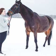en bild