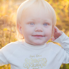en bild
