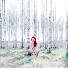 en bild